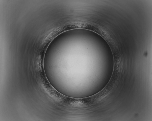 X0000116580594200912101542