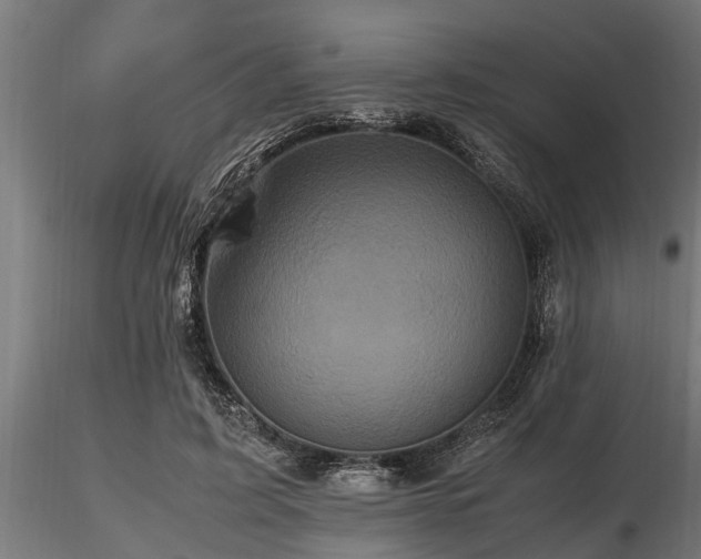 X0000116580595200912101542