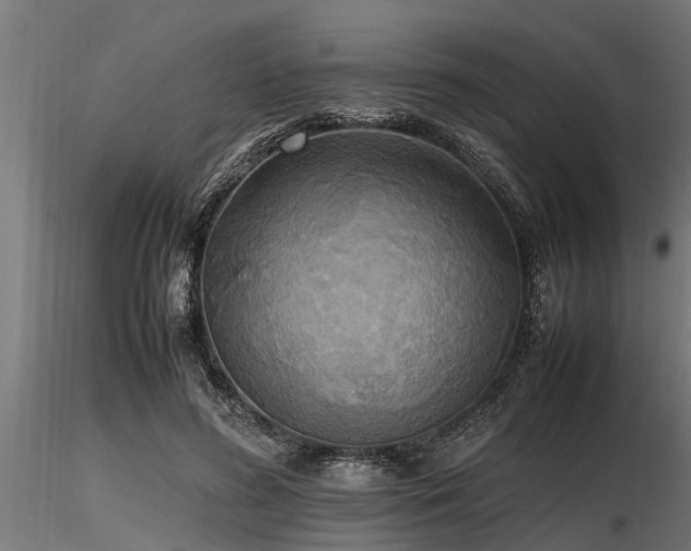 X0000116580596200912101542