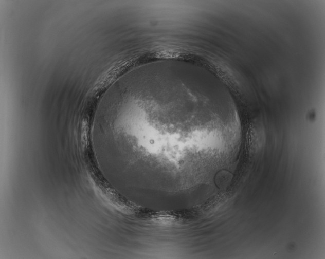 X0000116580598200912101542