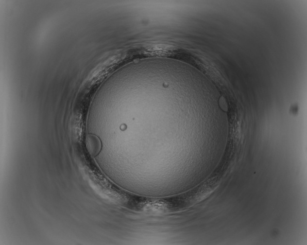 X0000116580599200912101542