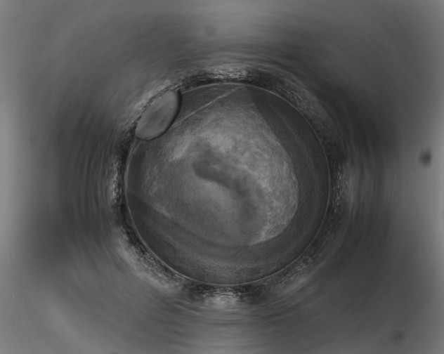 X0000116580600200912101542