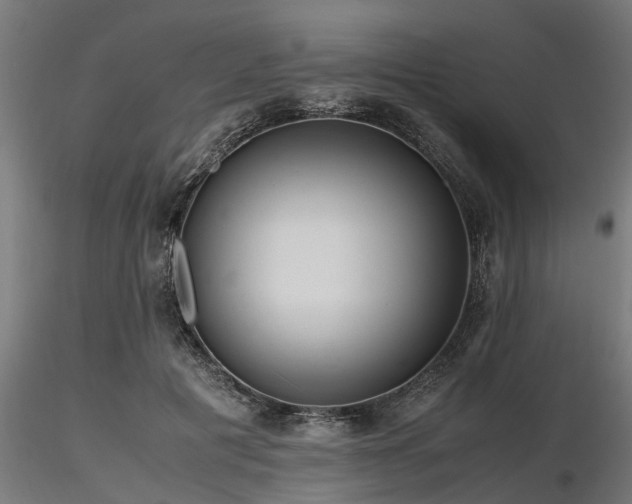 X0000116580601200912101542