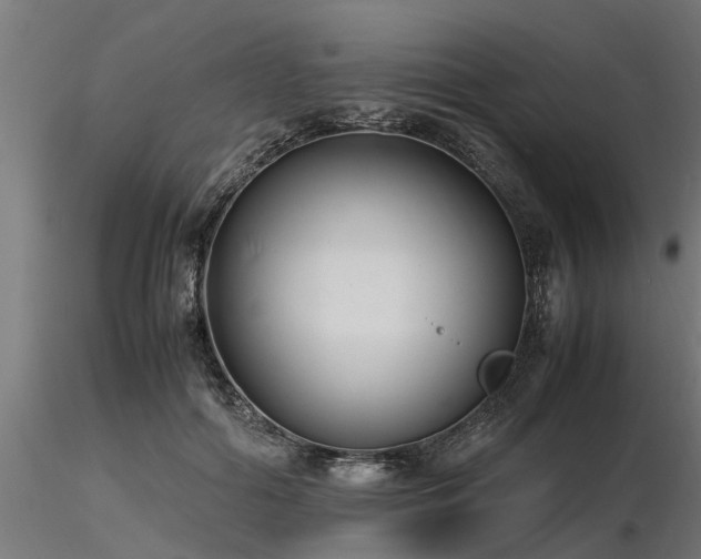 X0000116580602200912101542