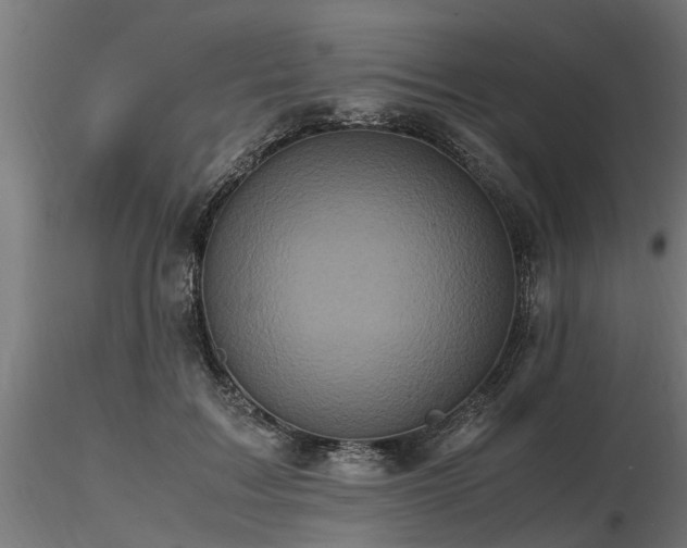 X0000116580603200912101542