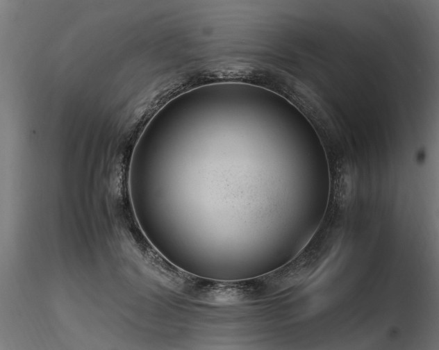 X0000116580604200912101542