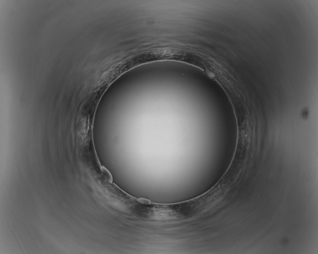 X0000116580605200912101542