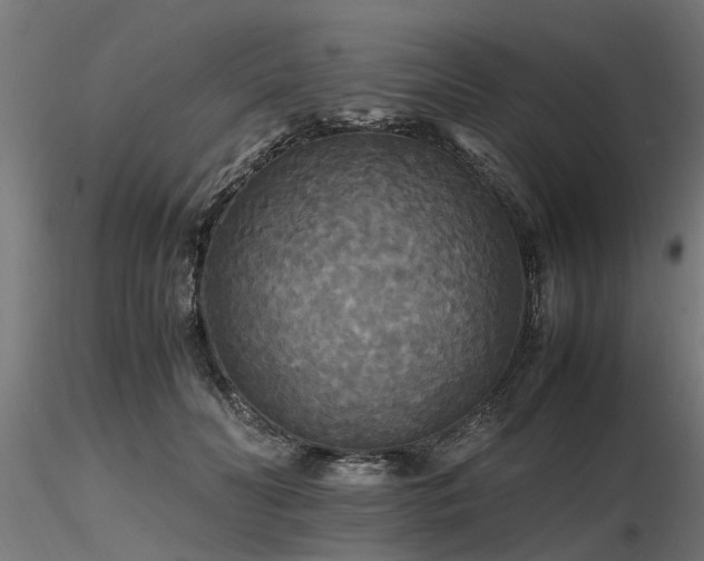 X0000116580606200912101542