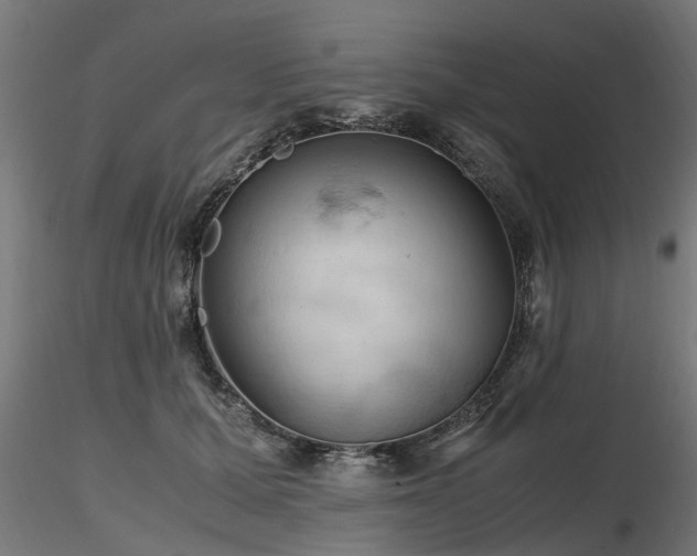 X0000116580607200912101542