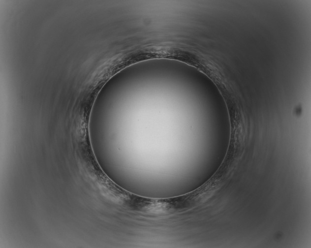 X0000116580609200912101542