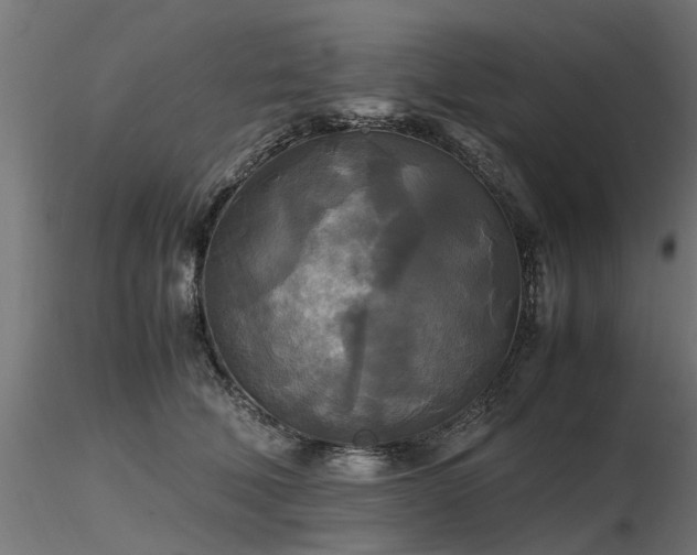 X0000116580610200912101542