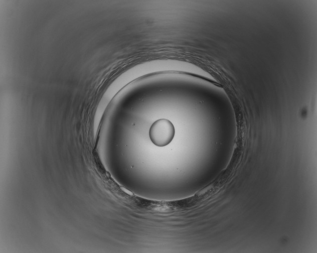 X0000116580611200912101542