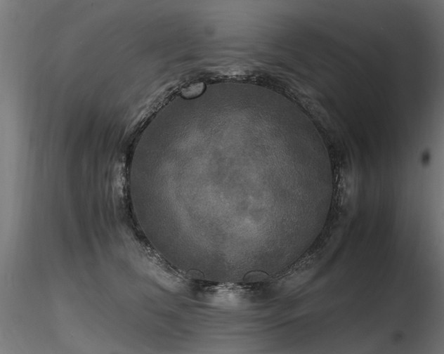 X0000116580612200912101542