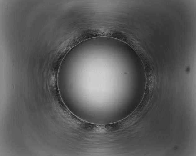 X0000116580613200912101542