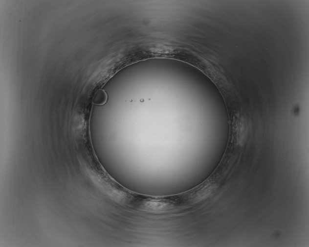 X0000116580614200912101542