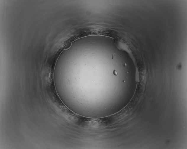 X0000116580615200912101542