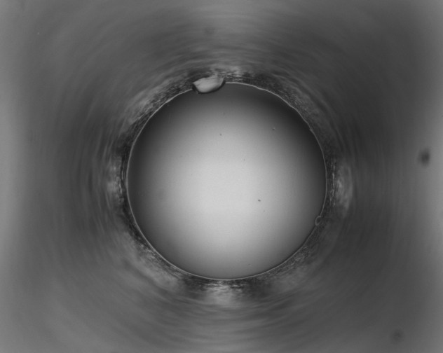 X0000116580616200912101542