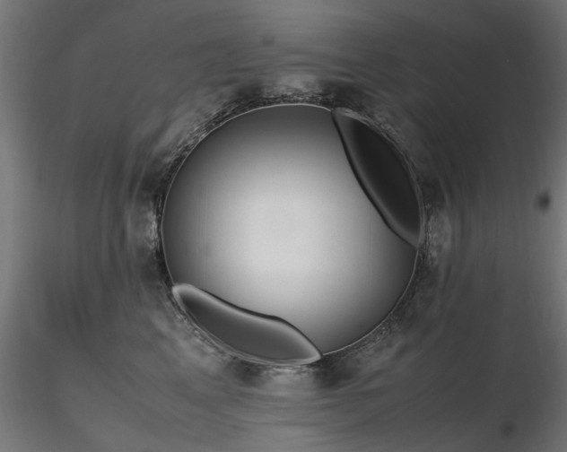 X0000116580617200912101542