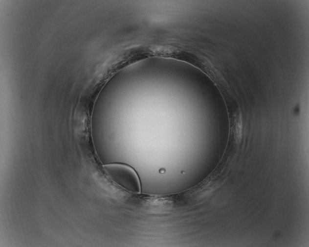 X0000116580619200912101542