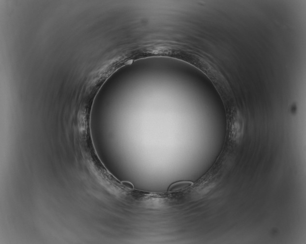 X0000116580620200912101542