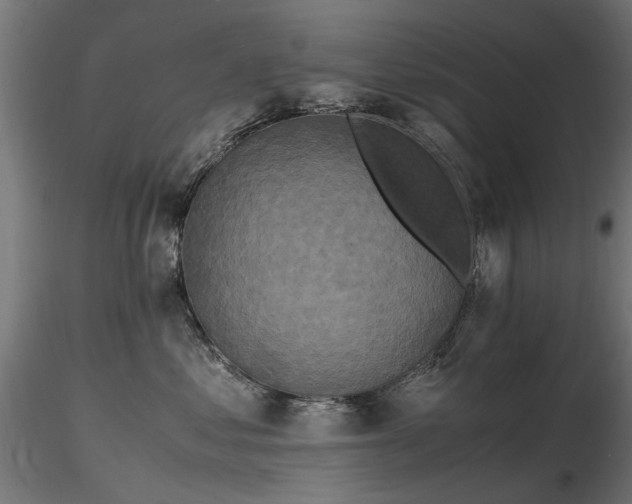 X0000116580621200912101542