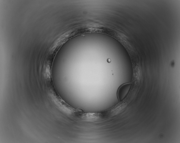 X0000116580622200912101542