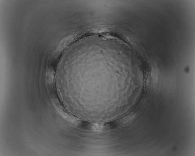 X0000116580623200912101542