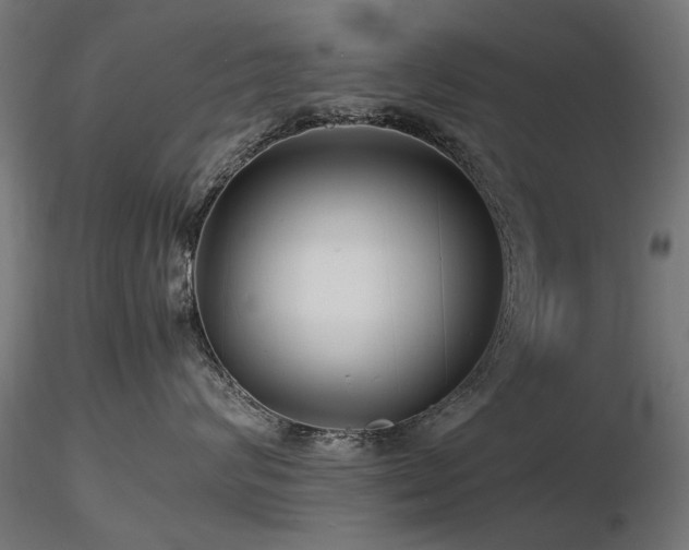 X0000116580624200912101542