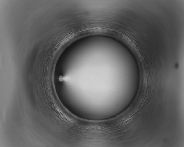 X0000116580625200912101541