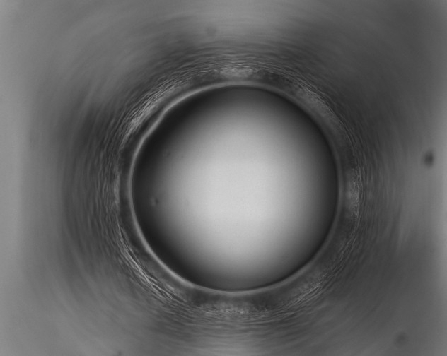 X0000116580626200912101541