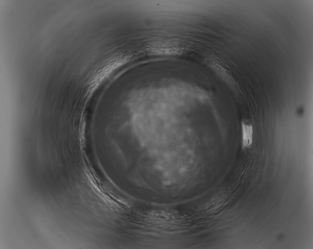 X0000116580627200912101541