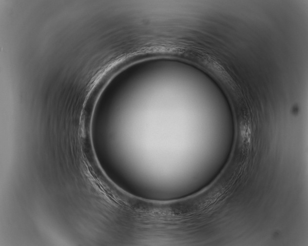 X0000116580628200912101541