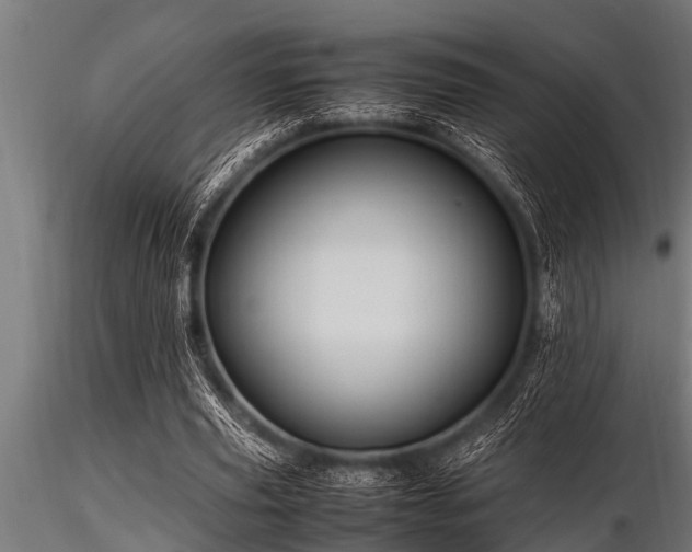 X0000116580629200912101541