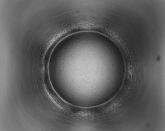 X0000116580630200912101541