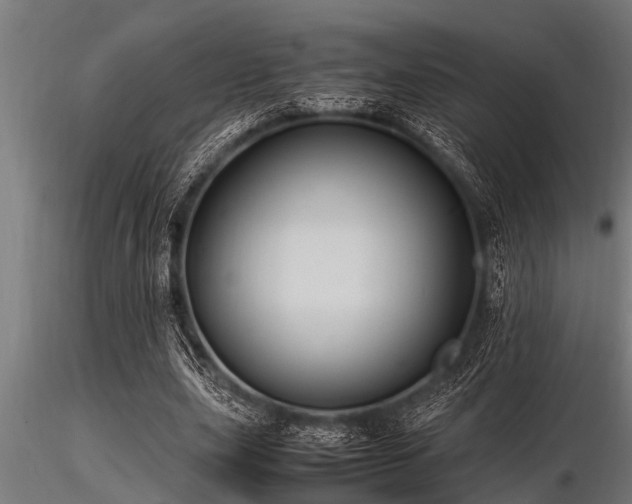 X0000116580631200912101541