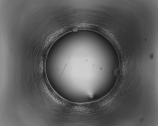 X0000116580633200912101541