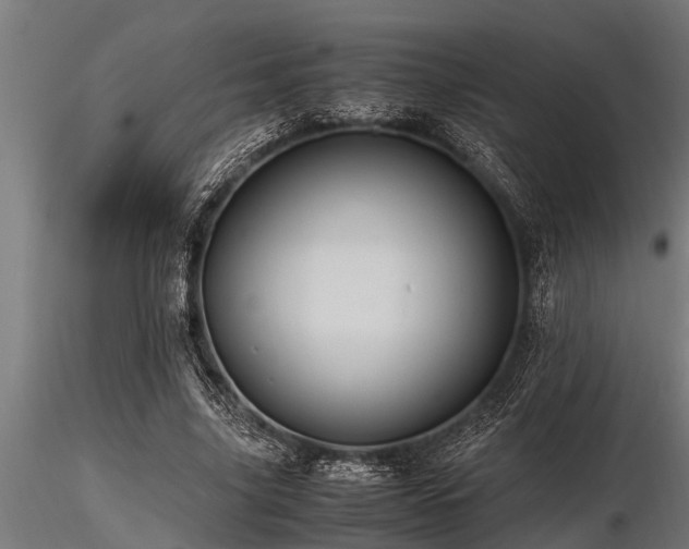 X0000116580635200912101541