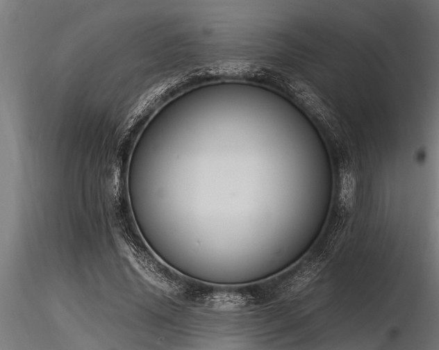 X0000116580636200912101541