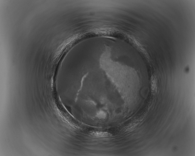 X0000116580637200912101541