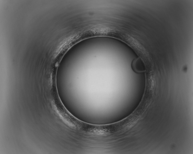 X0000116580638200912101541