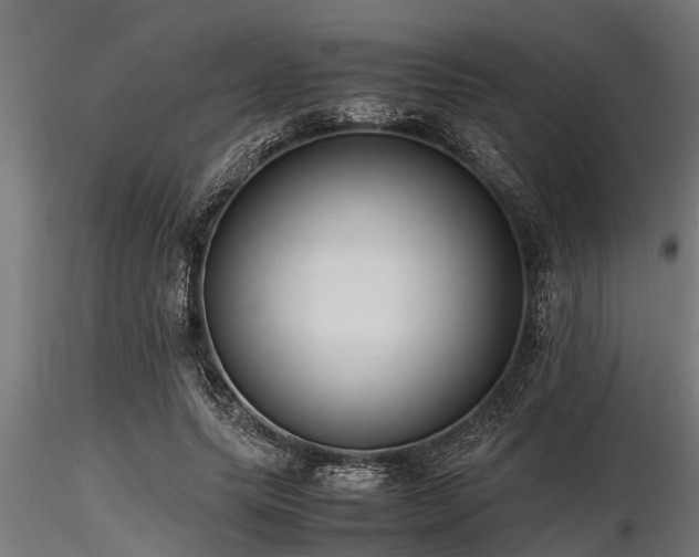 X0000116580639200912101541