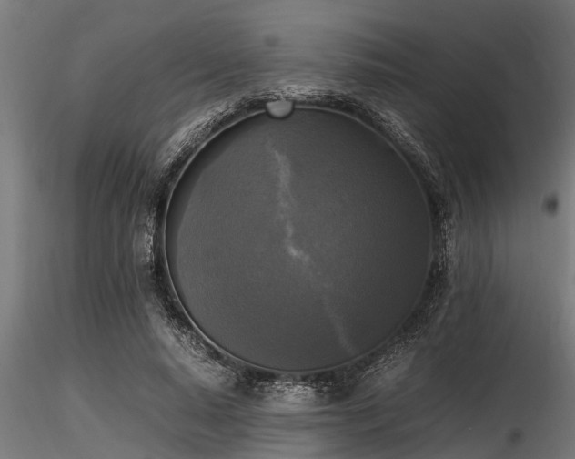 X0000116580640200912101541