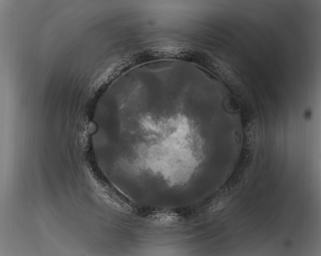 X0000116580642200912101541