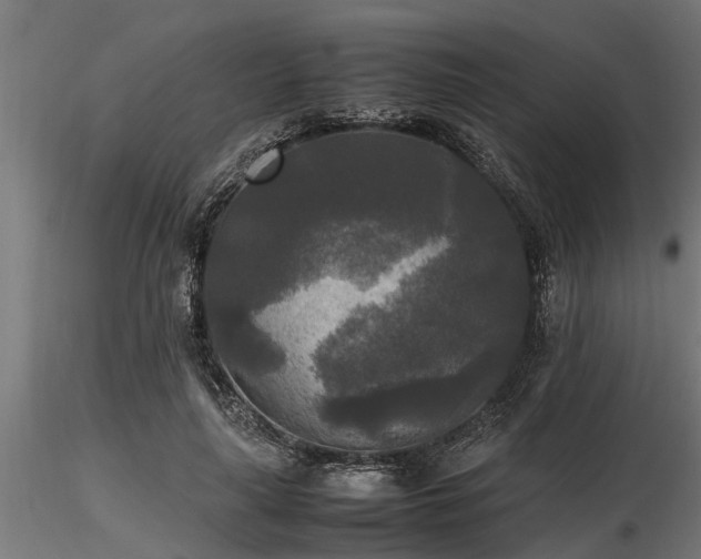 X0000116580643200912101541