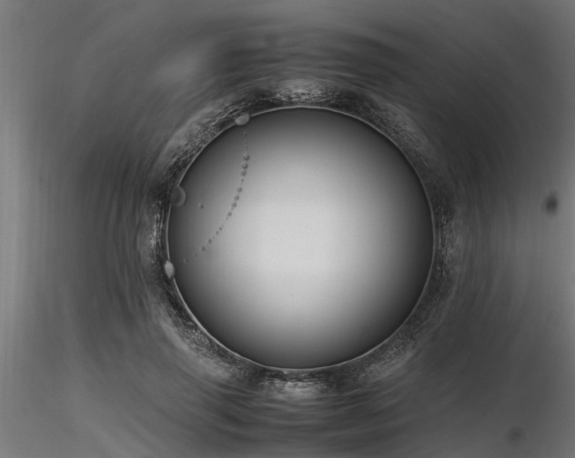 X0000116580645200912101541