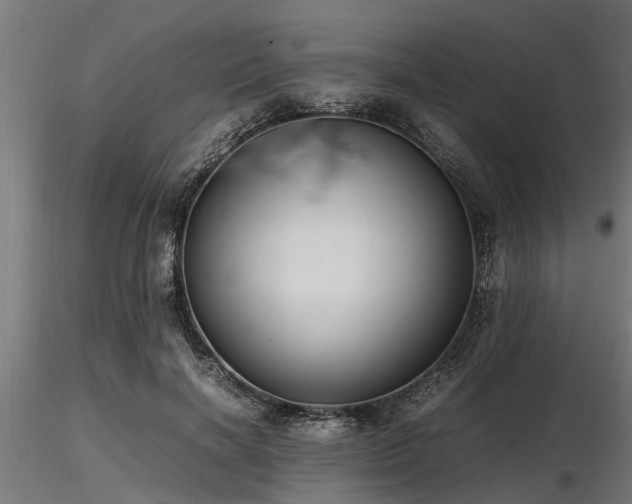 X0000116580646200912101541