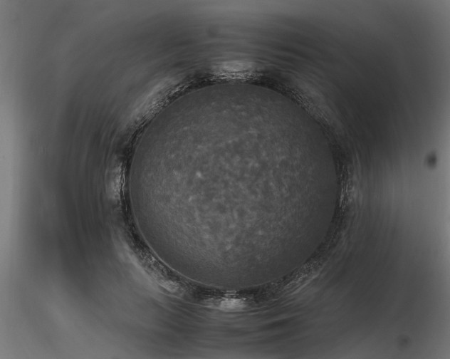 X0000116580647200912101541