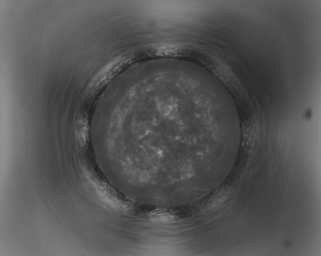 X0000116580648200912101541