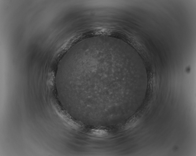 X0000116580649200912101541