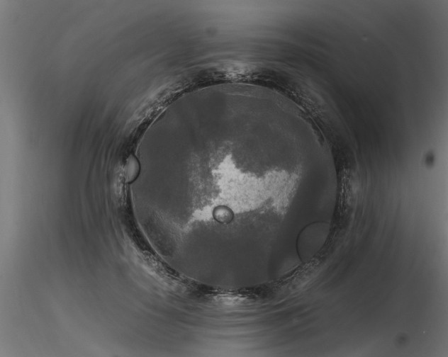 X0000116580650200912101541